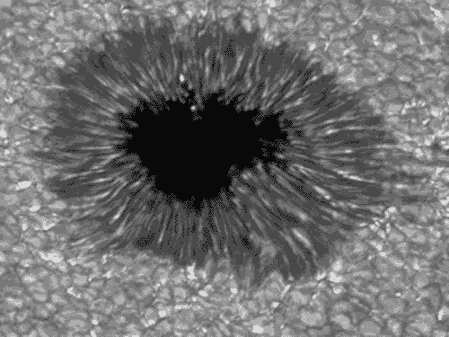 APOD: Sunspot Seething - February 23, 2000