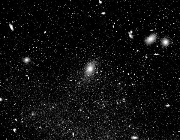 APOD: The Virgo Cluster of Galaxies - February 20, 2000
