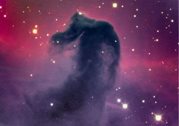 APOD: The Dark Horsehead Nebula - December 29, 2000