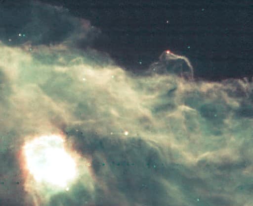 APOD: Infrared Horsehead - February 24, 2001