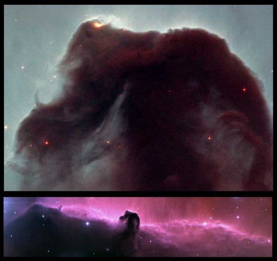 APOD: Horsehead Rides Again - April 26, 2001