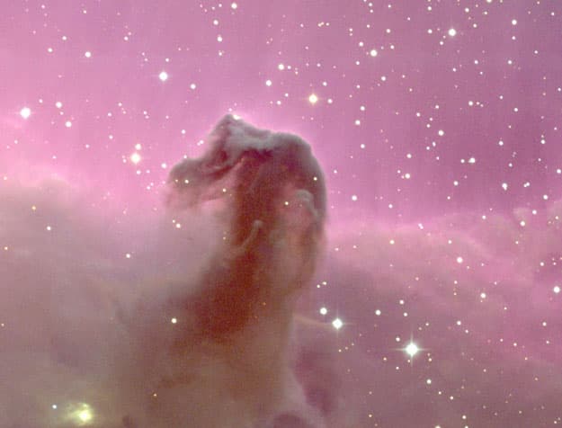 APOD: The Horsehead Nebula - July 13, 2003