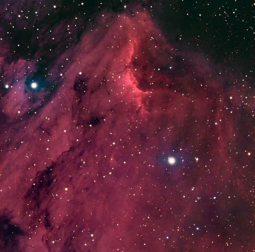 APOD: The Pelican in the Swan - August 29, 2002