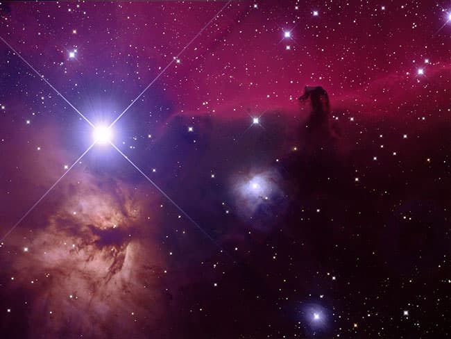 APOD: Orion's Horsehead Nebula - January 29, 2003