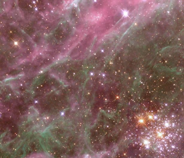 APOD: Denizen of the Tarantula Nebula - May 3, 2003