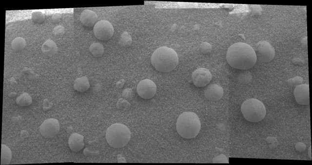 APOD: A Patch of Spherules on Mars - February 16, 2004