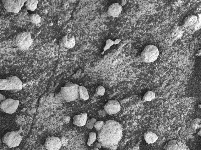 APOD: The Unusual Blueberries at Bylot Rock - August 17, 2004