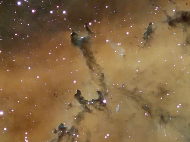 APOD: Dust Sculptures in the Rosette Nebula - January 10, 2005
