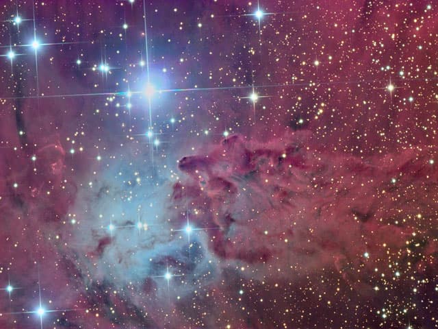 APOD: The Fox Fur Nebula - March 14, 2005