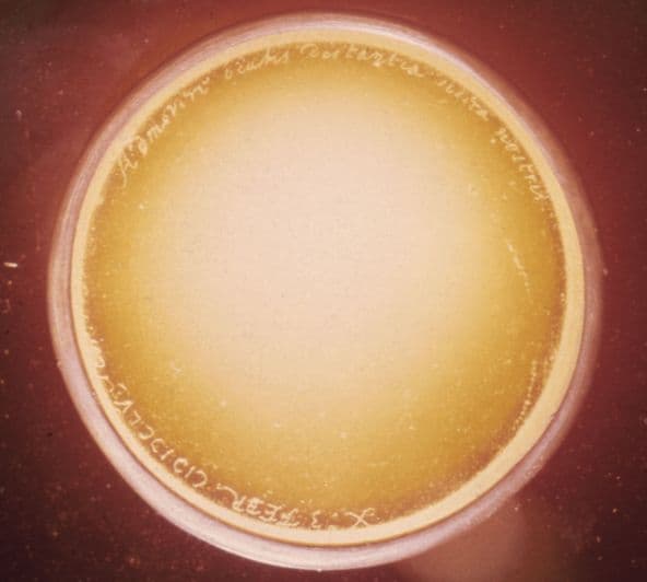 APOD: Huygens Discovers Luna Saturni - March 25, 2005