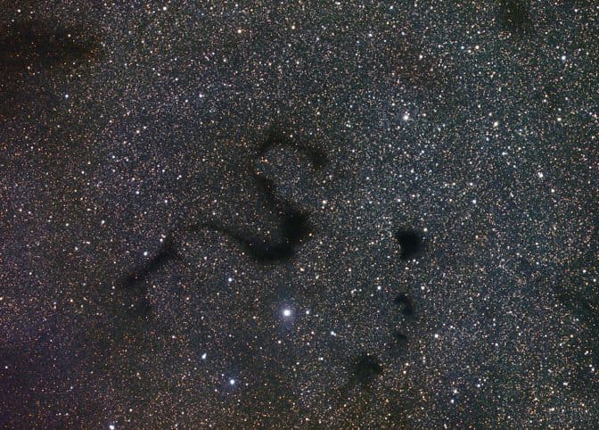 APOD: Snake in the Dark - May 21, 2005