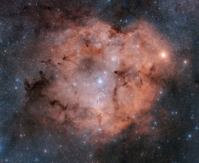 APOD: IC 1396 in Cepheus - September 8, 2005
