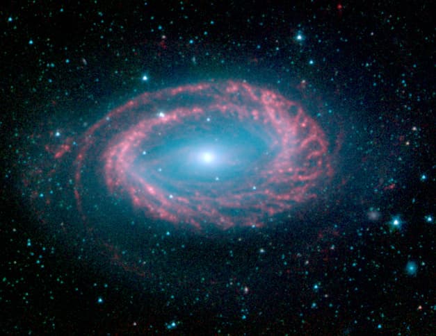 APOD: One-Armed Spiral Galaxy NGC 4725 - September 1, 2005