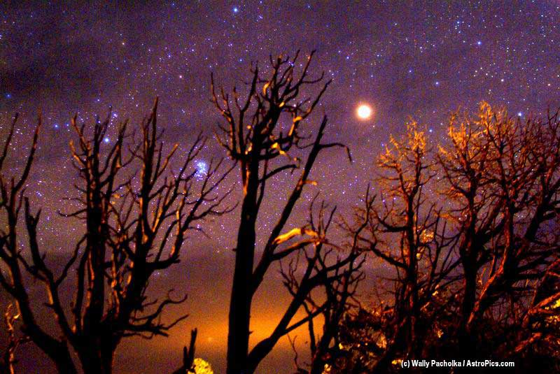 APOD: A Martian Halloween - October 31, 2005