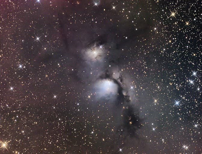 APOD: M78: Stardust and Starlight - November 4, 2005