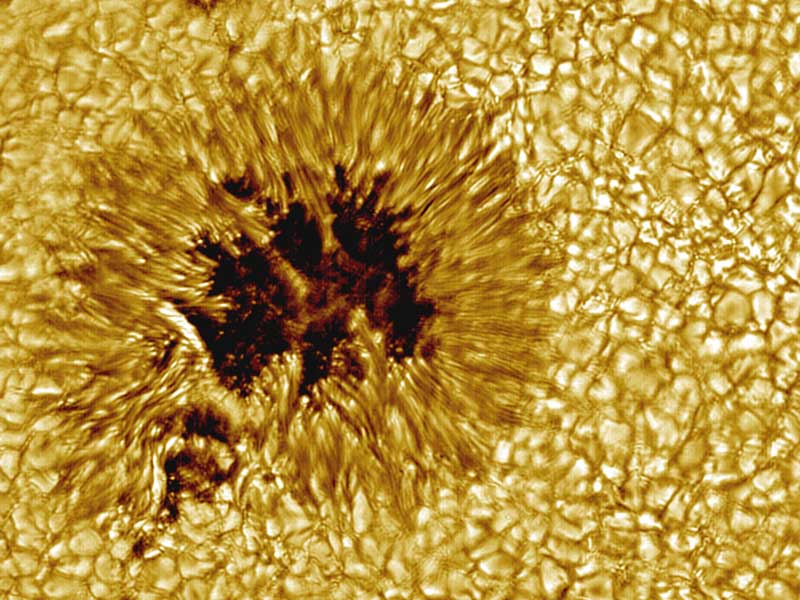 APOD: A Sunspot Up Close - November 6, 2005