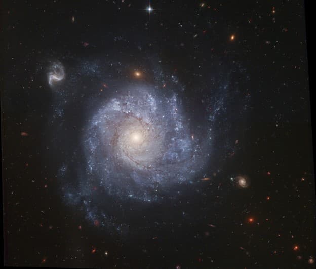 APOD: NGC 1309 and Friends - February 9, 2006