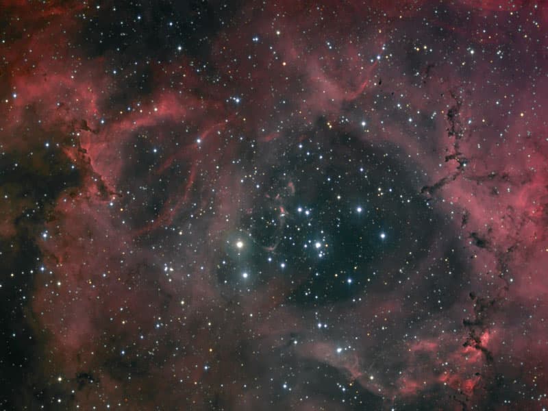 NASA APOD February 14, 2006: Dust and Light in the Rosette Nebula