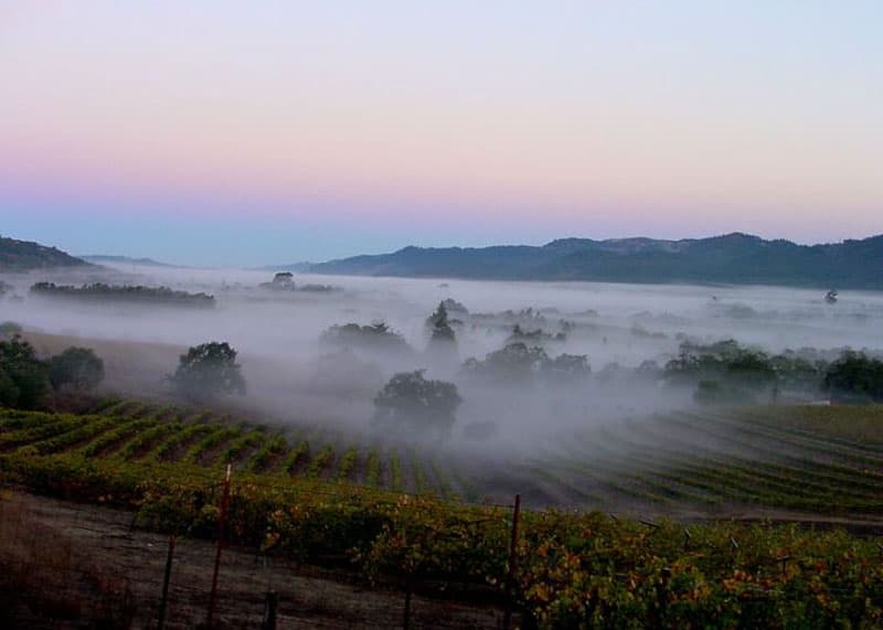 APOD: The Belt of Venus over the Valley of the Moon - July 23, 2006