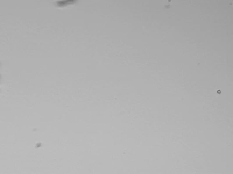 NASA APOD October 25, 2006: Help Search for Interstellar Dust