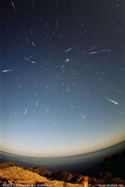 NASA APOD November 18, 2006: Leonids and Leica