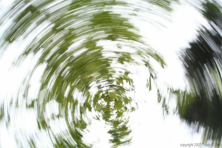 APOD: Circum-axial Leaf Trails - May 19, 2007