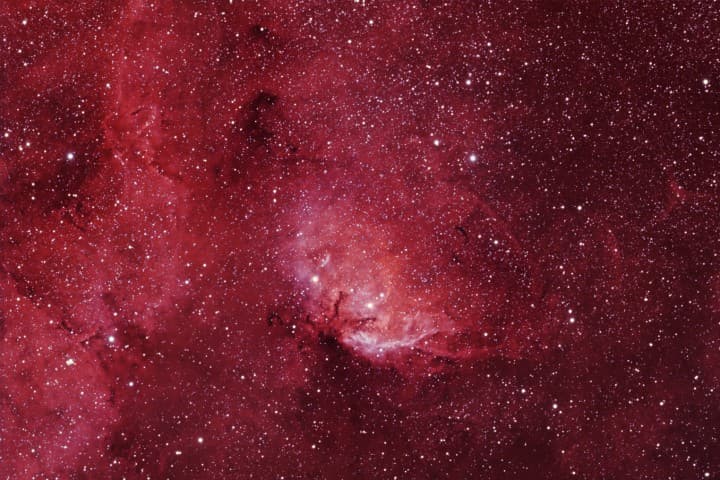 APOD: The Tulip in the Swan - May 24, 2007
