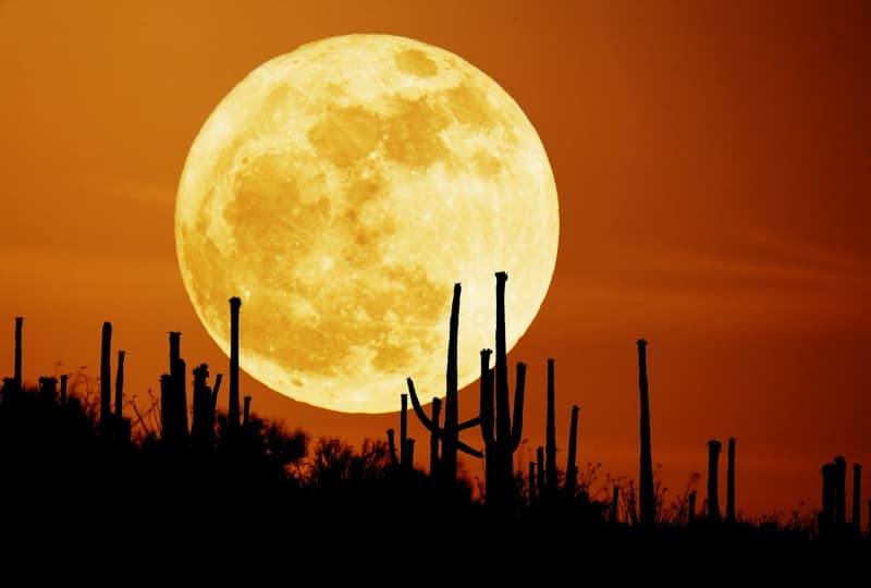 APOD: Saguaro Moon - September 26, 2007
