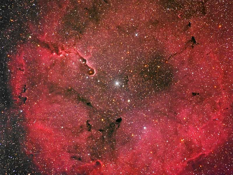 APOD: Emission Nebula IC 1396 - December 24, 2007