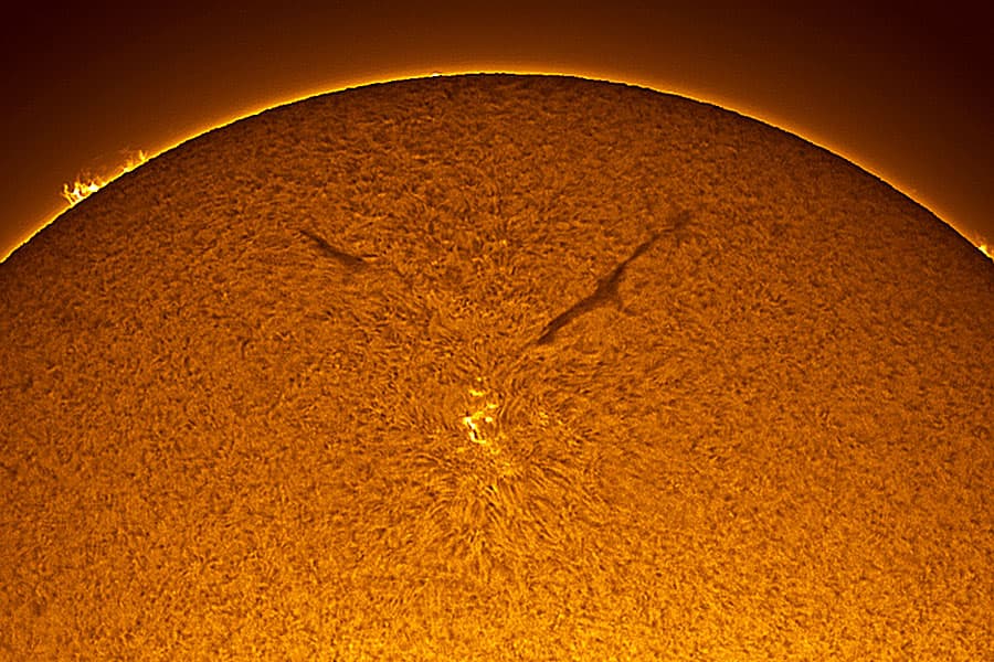 APOD: Sunspot in the Old Solar Cycle - February 6, 2008