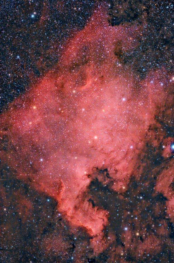 APOD: The North America Nebula - October 28, 2008
