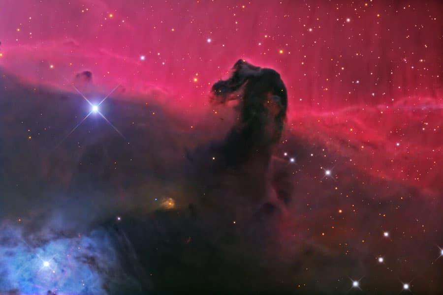 APOD: The Horsehead Nebula in Orion - November 26, 2008