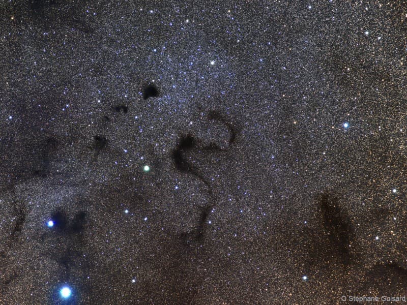 APOD: Snake in the Dark - February 20, 2009