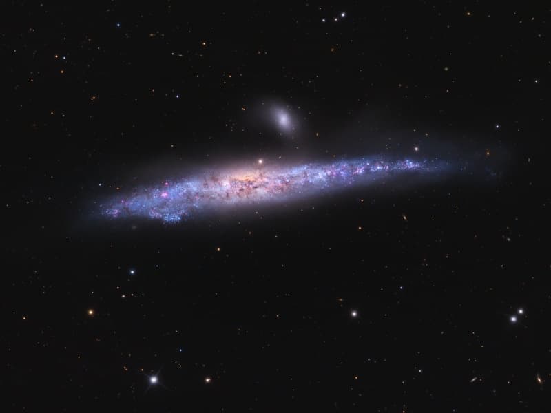 APOD: The Whale Galaxy - May 2, 2009