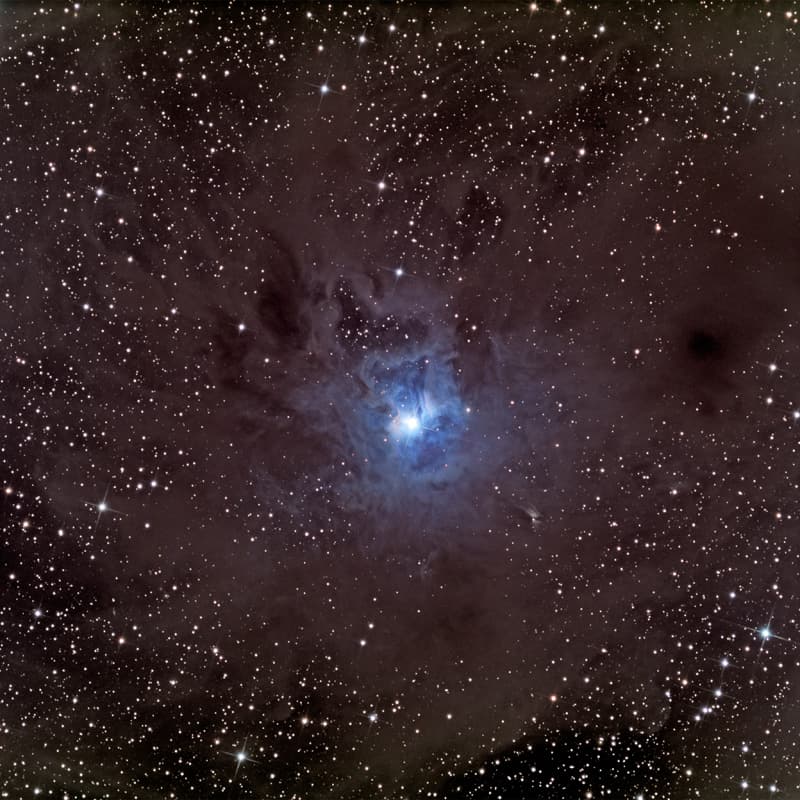 APOD: A Dusty Iris Nebula - June 10, 2009