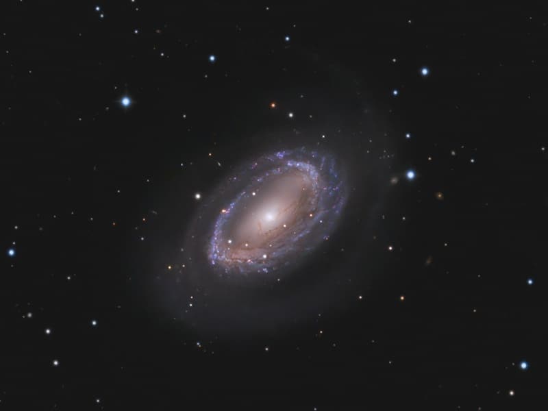 APOD: One-Armed Spiral Galaxy NGC 4725 - June 6, 2009