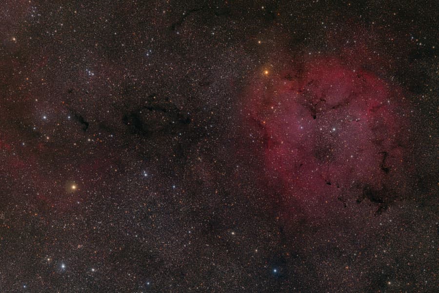 APOD: IC 1396 and Surrounding Starfield - August 19, 2009