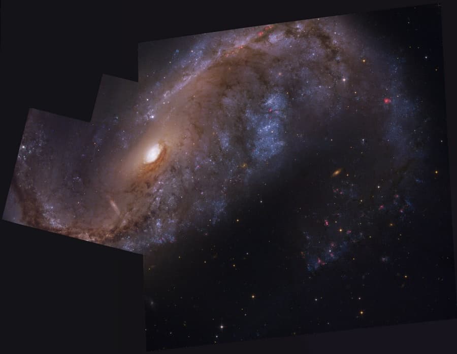 APOD: NGC 2442: Galaxy in Volans - March 25, 2010