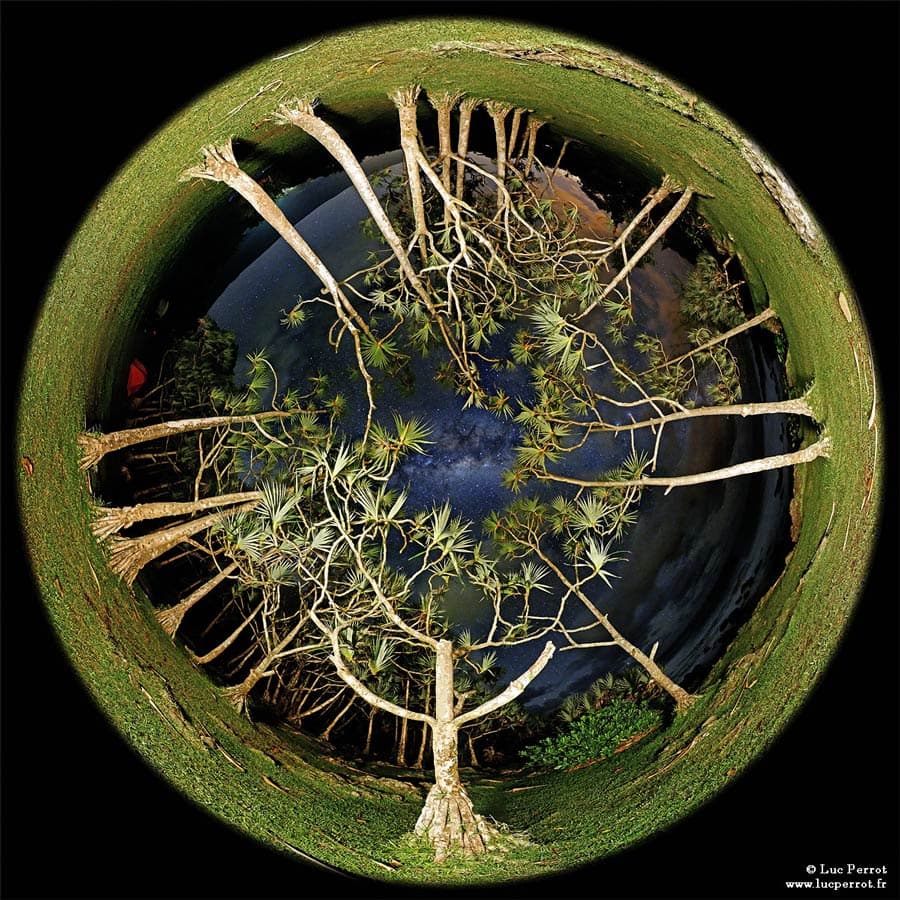 APOD: Trees, Sky, Galactic Eye - June 29, 2010