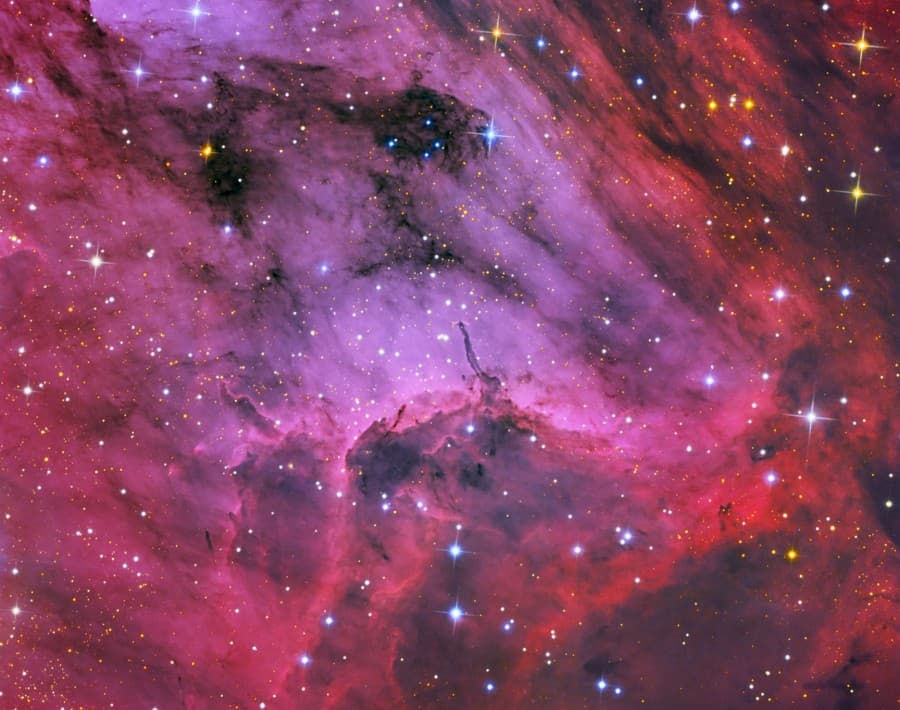 APOD: Pelican Nebula Close-up - August 19, 2010