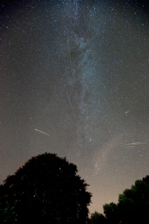 APOD: Night of the Perseids - August 14, 2010