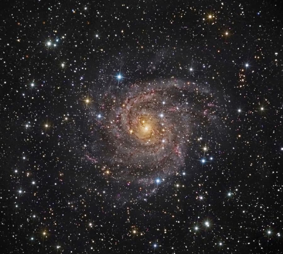APOD: Hidden Galaxy IC 342 - December 22, 2010