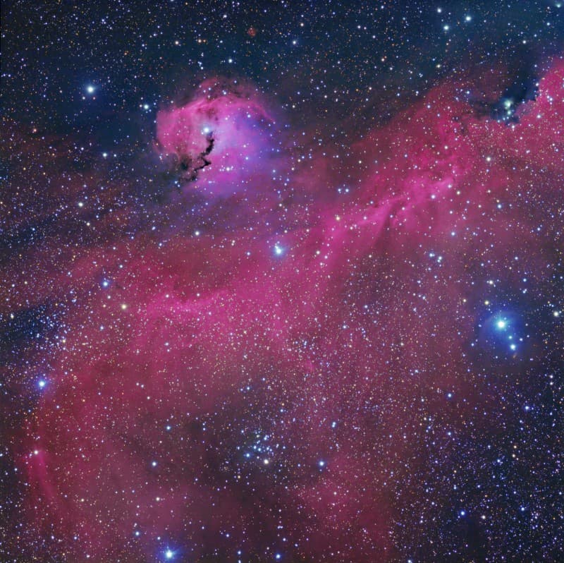 APOD: The Seagull Nebula - January 12, 2011