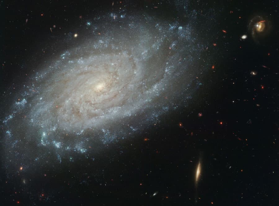APOD: Spiral Galaxy NGC 3370 from Hubble - October 29, 2011
