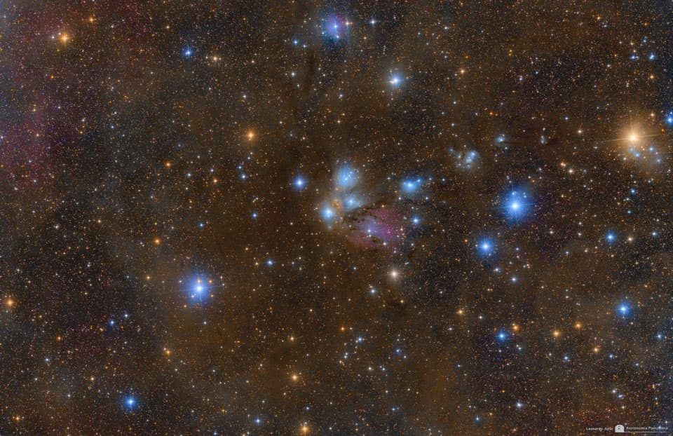 APOD: NGC 2170: Celestial Still Life - March 6, 2012
