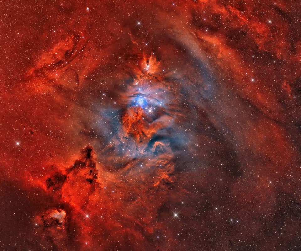 APOD: A Fox Fur, a Unicorn, and a Christmas Tree - April 10, 2012