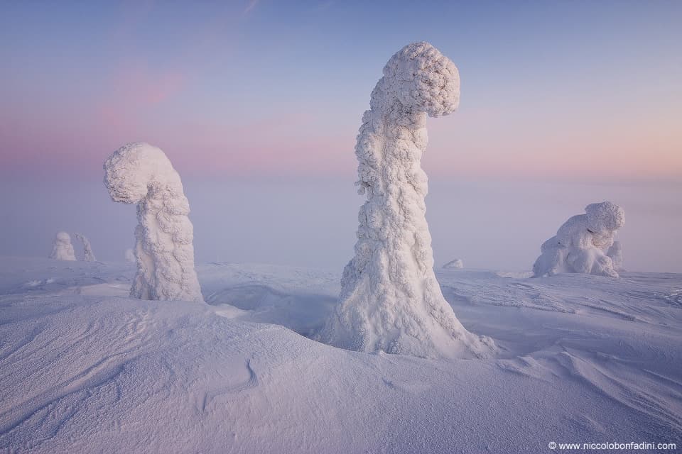 APOD: Sentinels of the Arctic - April 12, 2015