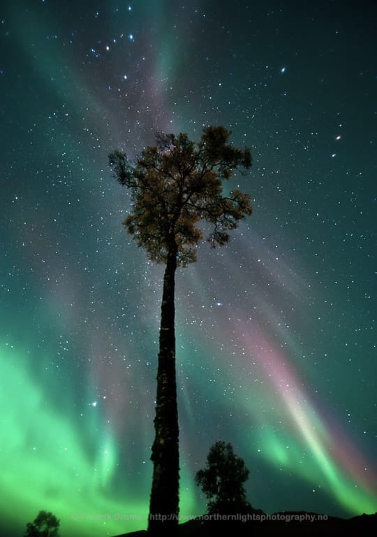 APOD: September's Aurora - September 21, 2012