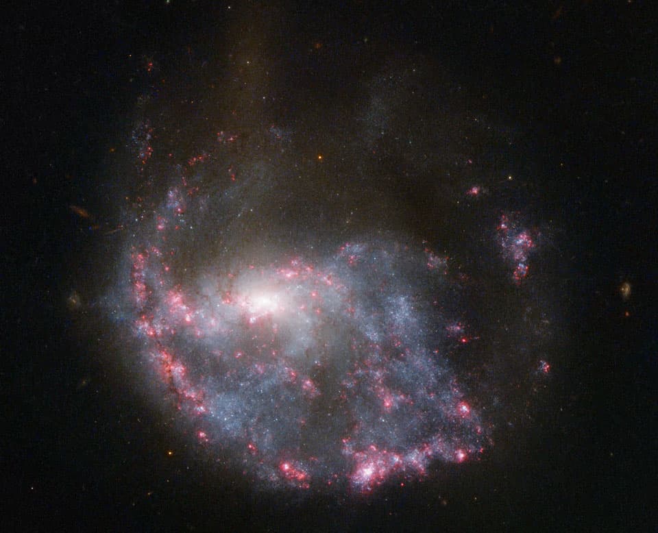 APOD: NGC 922: Collisional Ring Galaxy - December 17, 2012
