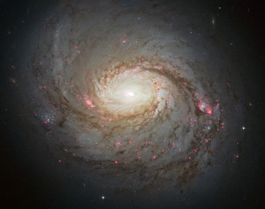 APOD: Messier 77 - May 10, 2013